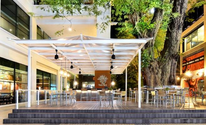 Tree Bar
