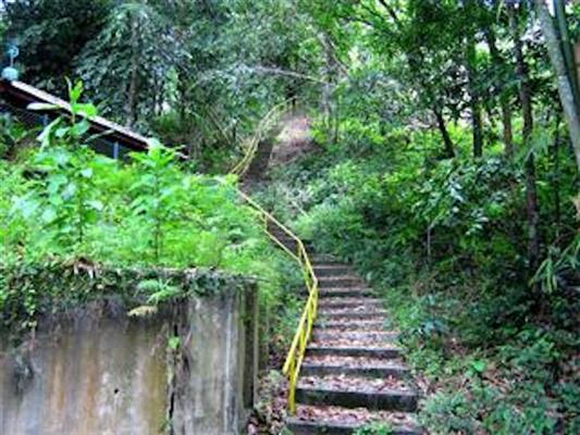 Penang Forestry Museum
