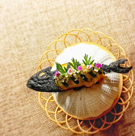 Memoire Molecular Dining