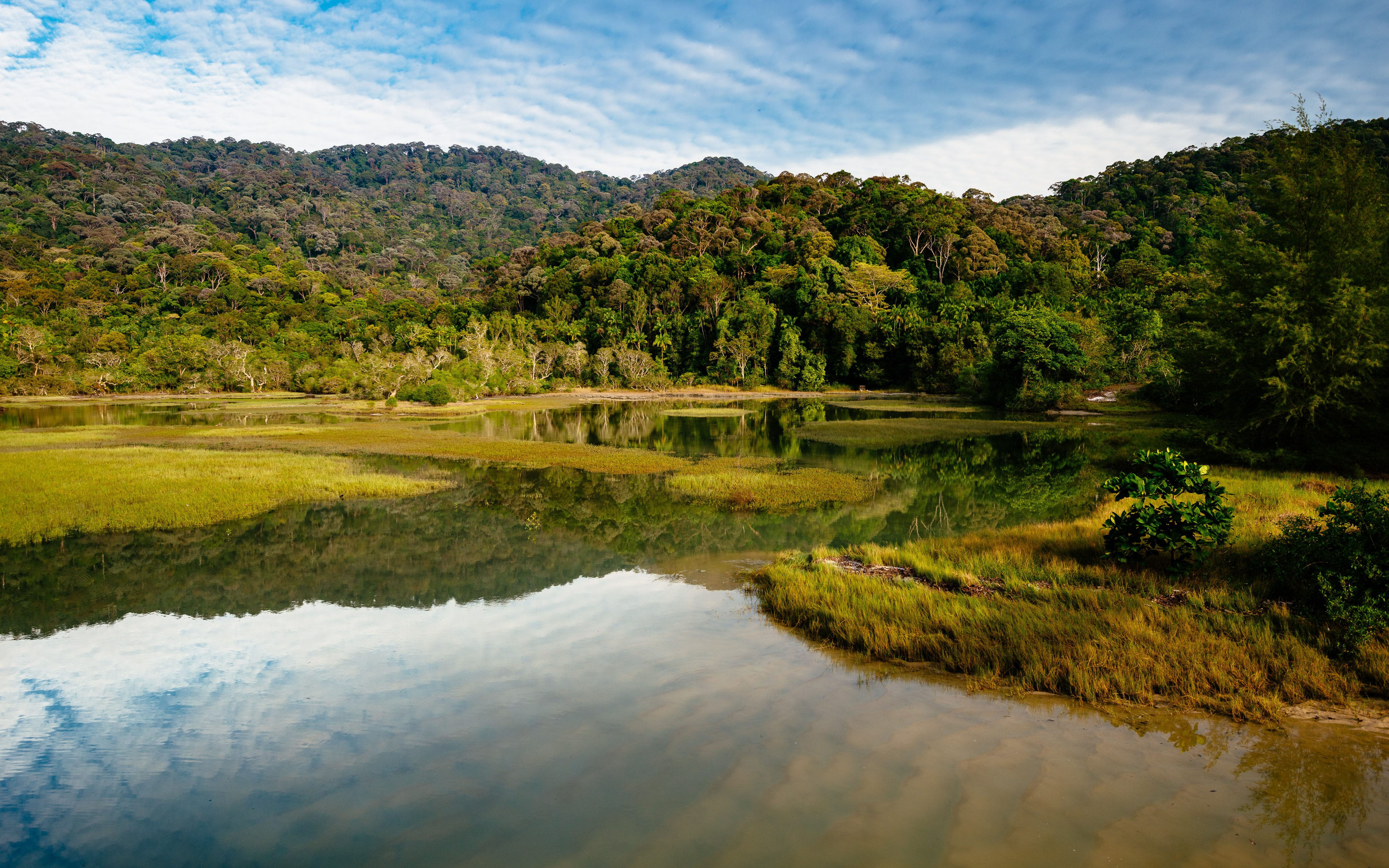Meromictic Lake, Penang National Park