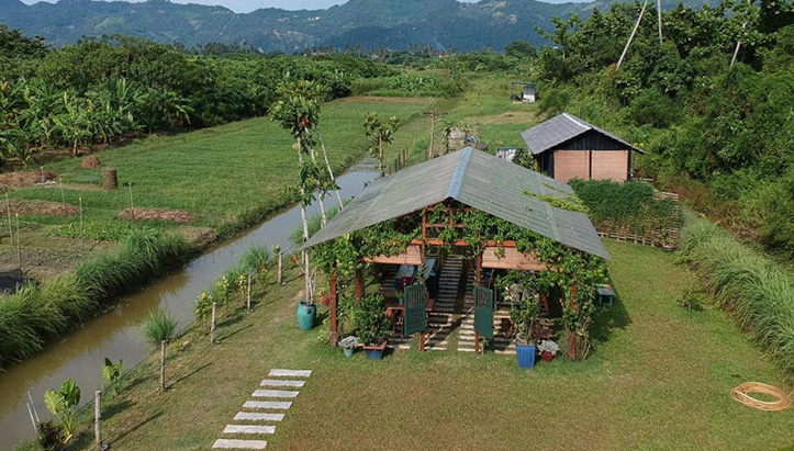 Nada Natural Farming