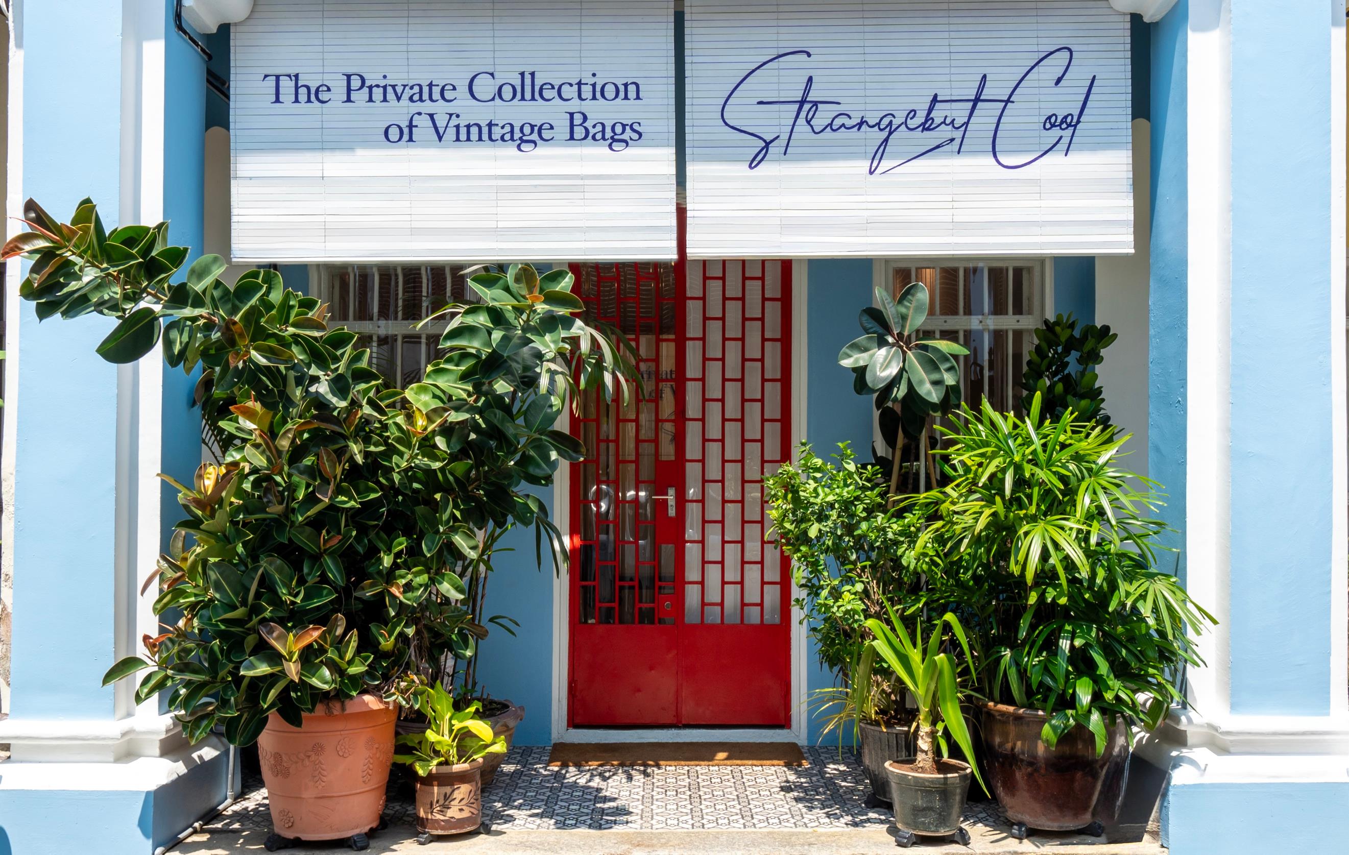 The Private Collection of Vintage Bags and StrangebutCool