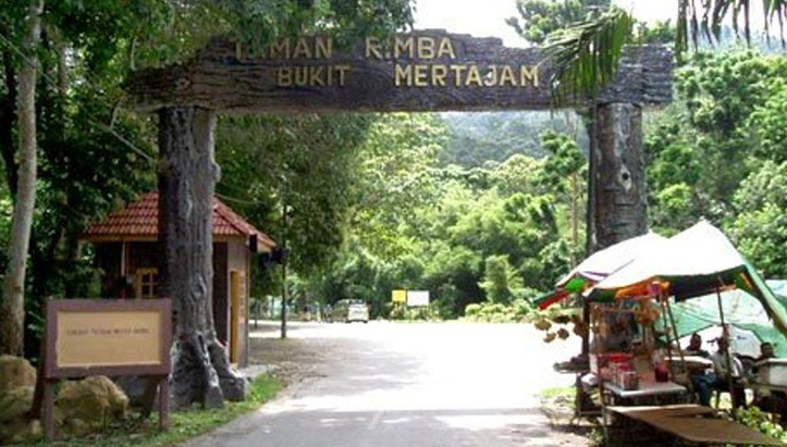 Taman Rimba Bukit Mertajam