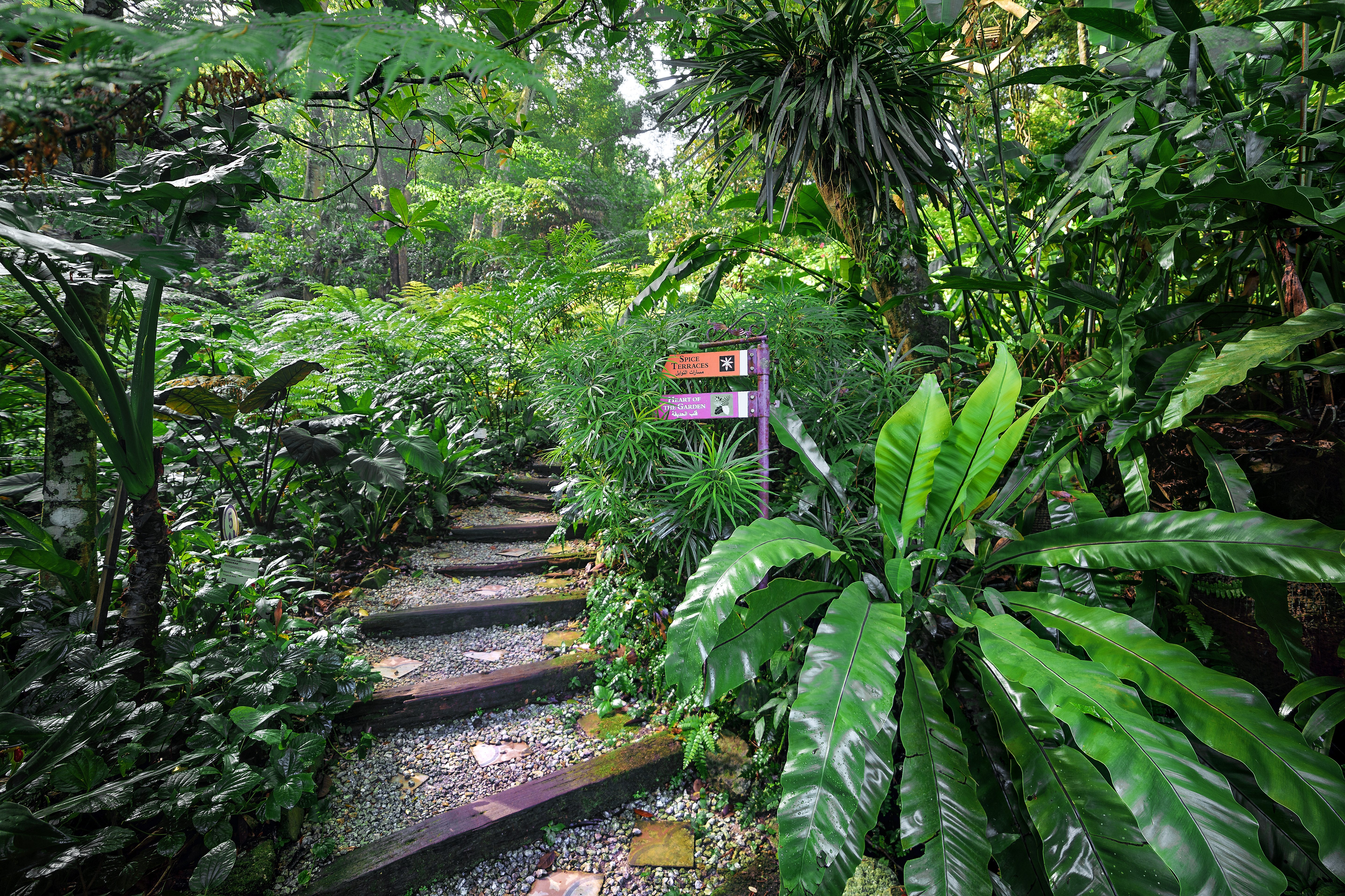Tropical Spice Garden