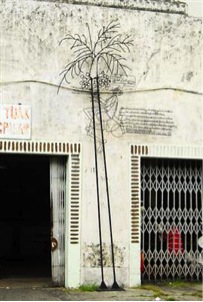 Wrong Tree (Marking George Town)
