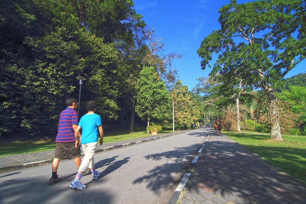 Penang Botanic Gardens