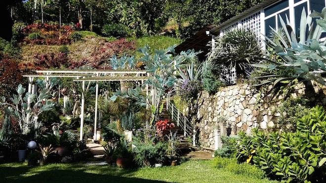 Art and Garden