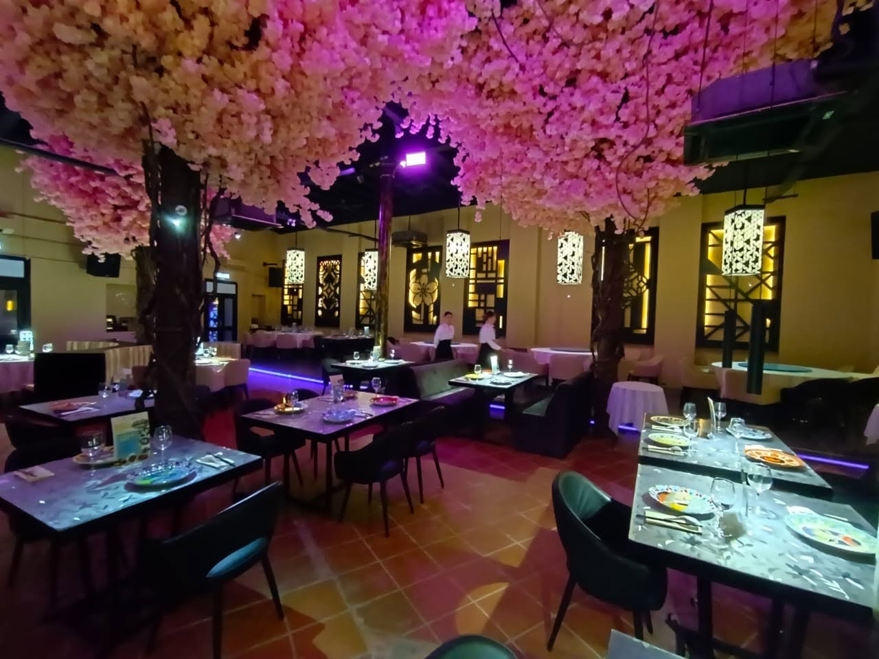 Chin's Cuisine