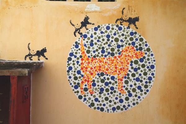 No Animal Discrimination Please (Marking George Town)