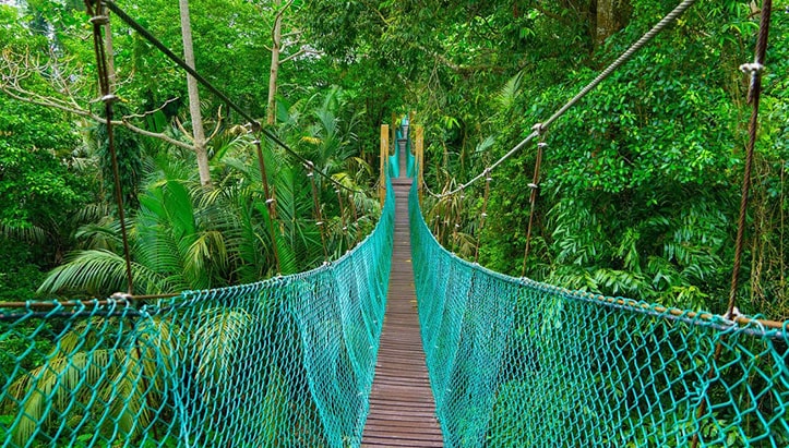 Air Hitam Dalam Educational Forest