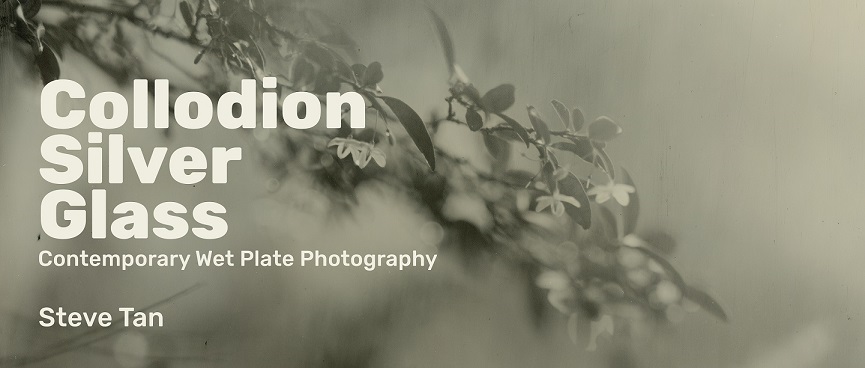 Collodion, Silver, Glass: Contemporary Wet Plate Photography