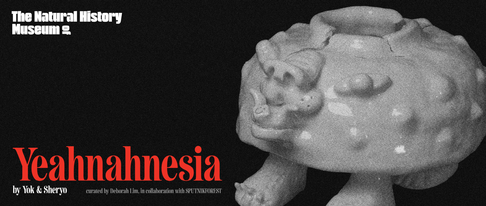 The Natural History Museum of Yeahnahnesia by Yok and Sheryo